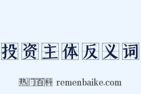 投资主体反义词是什么意思的图片